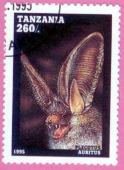 Fledermaus Briefmarke 11